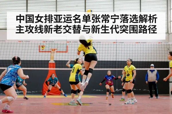 volleyball spike action indoor court