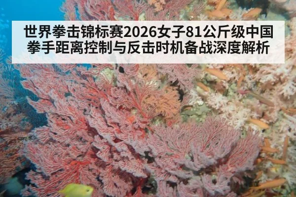 世界拳击锦标赛2026女子81公斤级中国拳手距离控制与反击时机备战深度解析